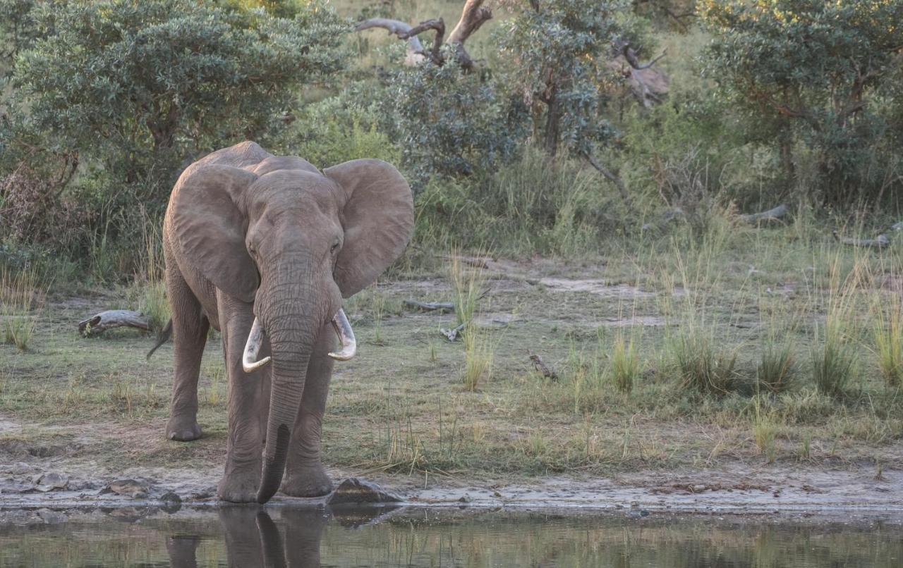 Tamboti River Lodge Hectorspruit Εξωτερικό φωτογραφία
