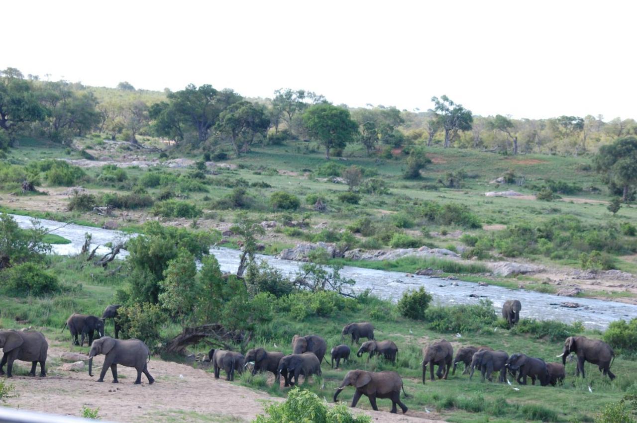 Tamboti River Lodge Hectorspruit Εξωτερικό φωτογραφία